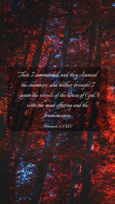 Picture 03 - Nehemiah 13:9 KJV Mobile Phone Wallpaper - Then I commanded, and they cleansed the chambers: - Mobile Bible Verse Wallpaper