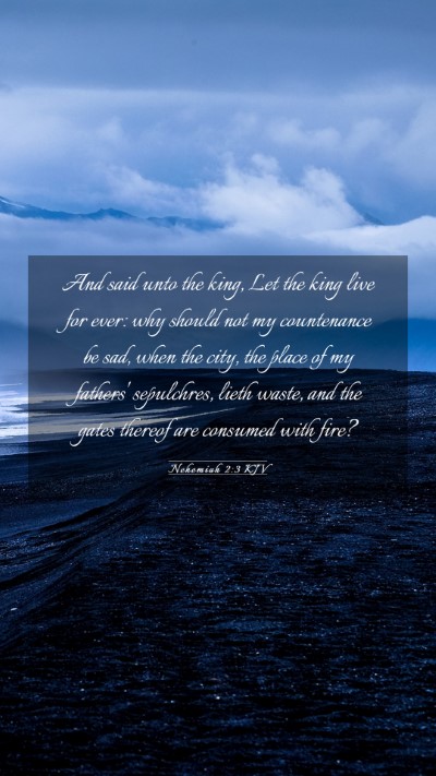Picture 03 - Nehemiah 2:3 KJV Mobile Phone Wallpaper - And said unto the king, Let the king live for - Mobile Bible Verse Wallpaper
