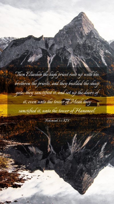 Picture 03 - Nehemiah 3:1 KJV Mobile Phone Wallpaper - Then Eliashib the high priest rose up with his - Mobile Bible Verse Wallpaper