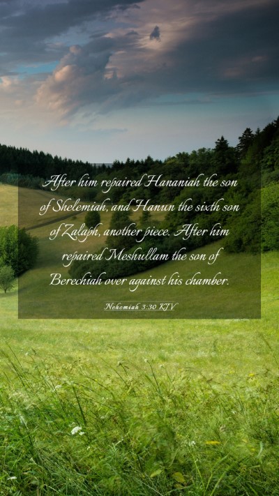 Picture 03 - Nehemiah 3:30 KJV Mobile Phone Wallpaper - After him repaired Hananiah the son of Shelemiah, - Mobile Bible Verse Wallpaper
