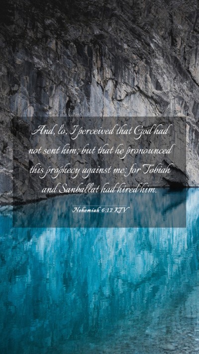Picture 03 - Nehemiah 6:12 KJV Mobile Phone Wallpaper - And, lo, I perceived that God had not sent him; - Mobile Bible Verse Wallpaper