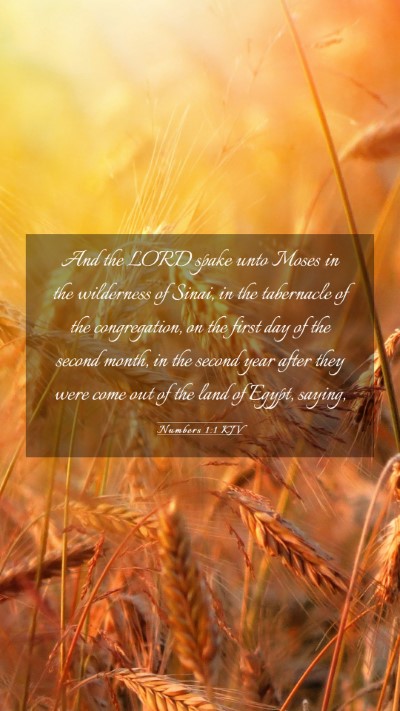 Picture 03 - Numbers 1:1 KJV Mobile Phone Wallpaper - And the LORD spake unto Moses in the wilderness - Mobile Bible Verse Wallpaper
