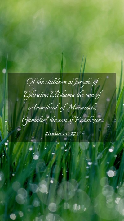 Picture 03 - Numbers 1:10 KJV Mobile Phone Wallpaper - Of the children of Joseph: of Ephraim; Elishama - Mobile Bible Verse Wallpaper