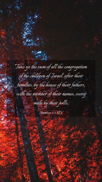 Picture 03 - Numbers 1:2 KJV Mobile Phone Wallpaper - Take ye the sum of all the congregation of the - Mobile Bible Verse Wallpaper