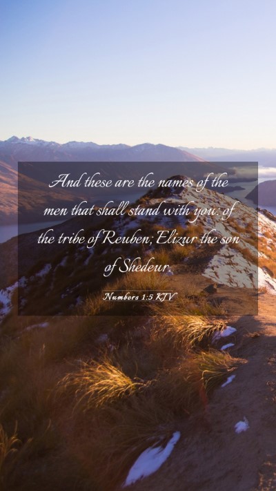 Picture 03 - Numbers 1:5 KJV Mobile Phone Wallpaper - And these are the names of the men that shall - Mobile Bible Verse Wallpaper