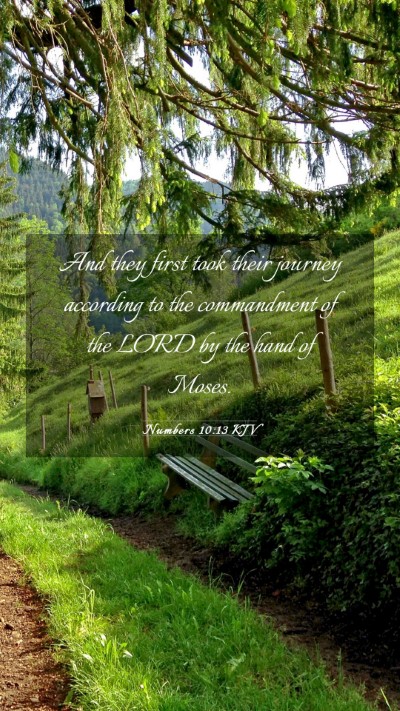 Picture 03 - Numbers 10:13 KJV Mobile Phone Wallpaper - And they first took their journey according to - Mobile Bible Verse Wallpaper