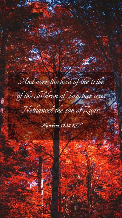 Picture 03 - Numbers 10:15 KJV Mobile Phone Wallpaper - And over the host of the tribe of the children of - Mobile Bible Verse Wallpaper