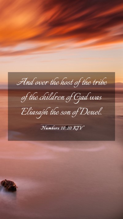 Picture 03 - Numbers 10:20 KJV Mobile Phone Wallpaper - And over the host of the tribe of the children of - Mobile Bible Verse Wallpaper