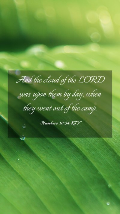 Picture 03 - Numbers 10:34 KJV Mobile Phone Wallpaper - And the cloud of the LORD was upon them by day, - Mobile Bible Verse Wallpaper