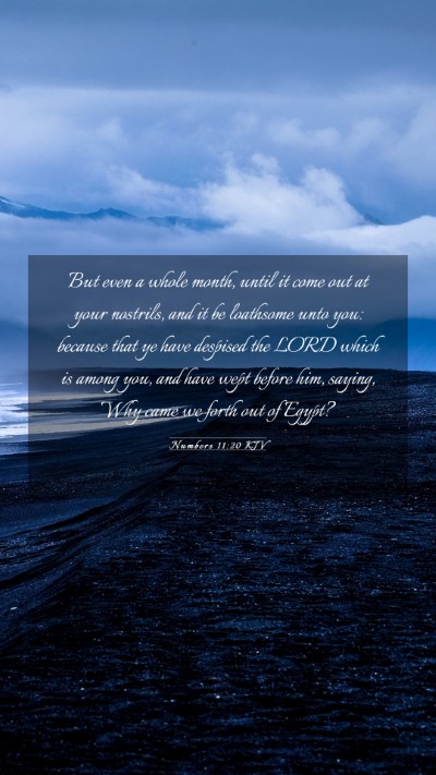 Picture 03 - Numbers 11:20 KJV Mobile Phone Wallpaper - But even a whole month, until it come out at your - Mobile Bible Verse Wallpaper