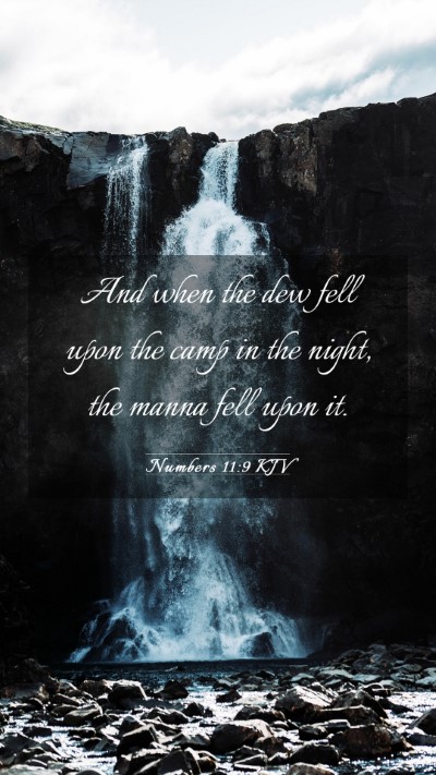 Picture 03 - Numbers 11:9 KJV Mobile Phone Wallpaper - And when the dew fell upon the camp in the night, - Mobile Bible Verse Wallpaper