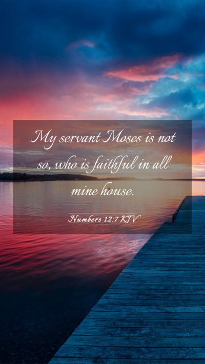 Picture 03 - Numbers 12:7 KJV Mobile Phone Wallpaper - My servant Moses is not so, who is faithful in - Mobile Bible Verse Wallpaper