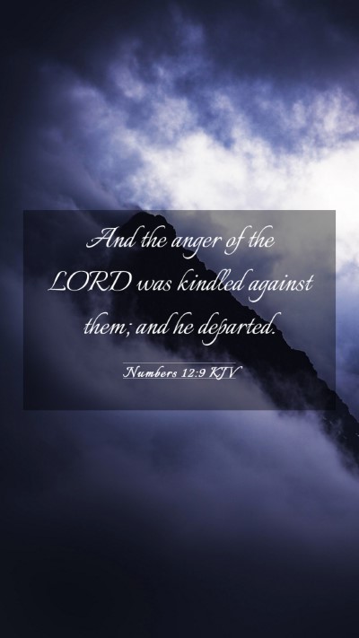 Picture 03 - Numbers 12:9 KJV Mobile Phone Wallpaper - And the anger of the LORD was kindled against - Mobile Bible Verse Wallpaper