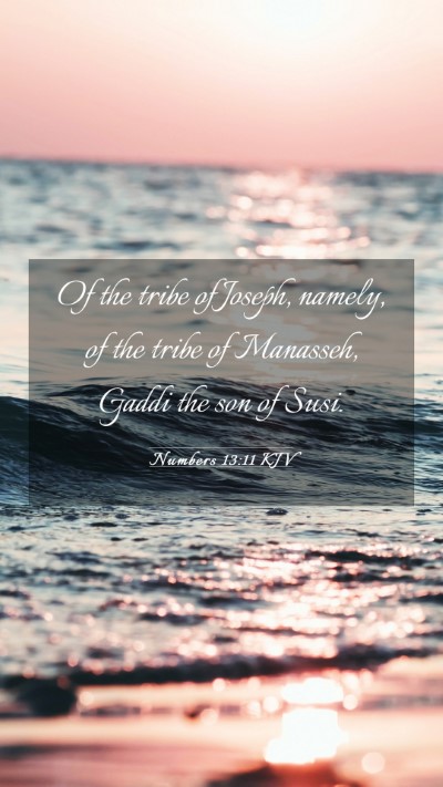 Picture 03 - Numbers 13:11 KJV Mobile Phone Wallpaper - Of the tribe of Joseph, namely, of the tribe of - Mobile Bible Verse Wallpaper