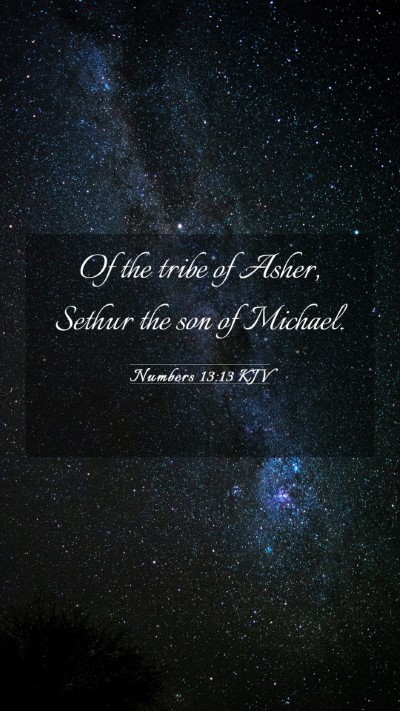 Picture 03 - Numbers 13:13 KJV Mobile Phone Wallpaper - Of the tribe of Asher, Sethur the son of - Mobile Bible Verse Wallpaper