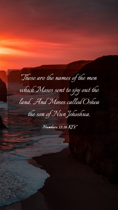 Picture 03 - Numbers 13:16 KJV Mobile Phone Wallpaper - These are the names of the men which Moses sent - Mobile Bible Verse Wallpaper