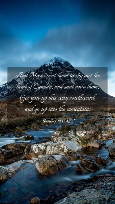 Picture 03 - Numbers 13:17 KJV Mobile Phone Wallpaper - And Moses sent them to spy out the land of - Mobile Bible Verse Wallpaper