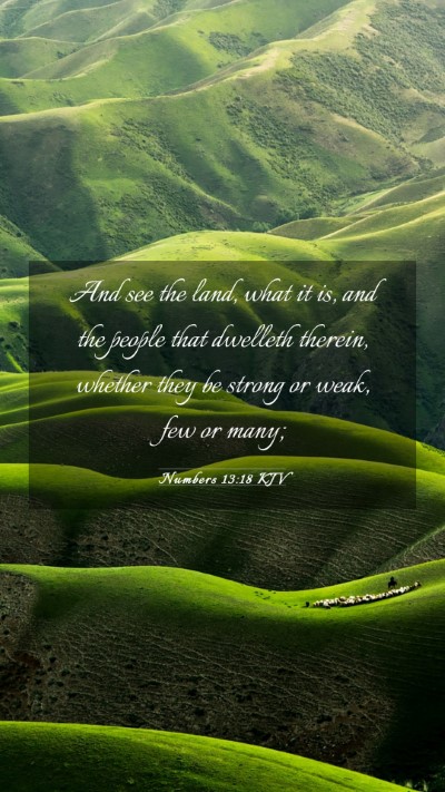 Picture 03 - Numbers 13:18 KJV Mobile Phone Wallpaper - And see the land, what it is, and the people that - Mobile Bible Verse Wallpaper