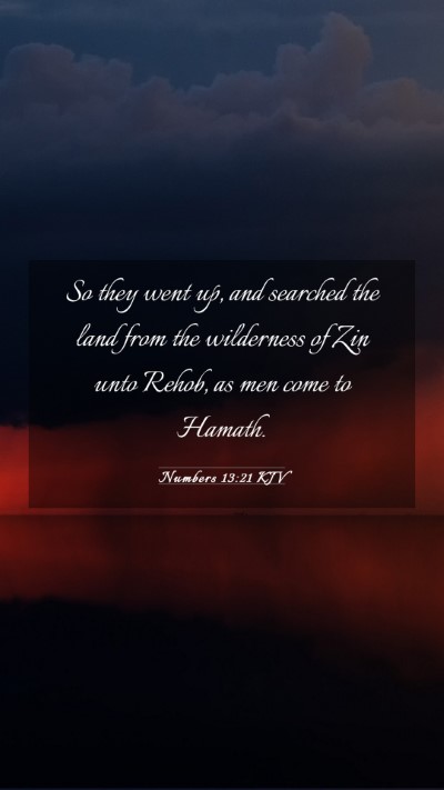 Picture 03 - Numbers 13:21 KJV Mobile Phone Wallpaper - So they went up, and searched the land from the - Mobile Bible Verse Wallpaper