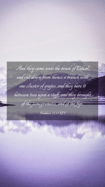 Picture 03 - Numbers 13:23 KJV Mobile Phone Wallpaper - And they came unto the brook of Eshcol, and cut - Mobile Bible Verse Wallpaper