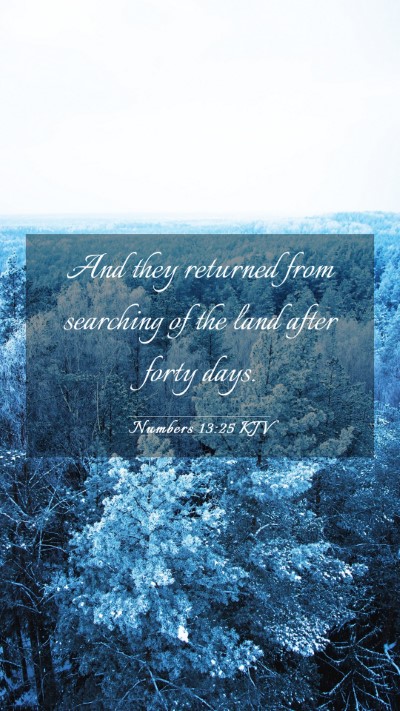 Picture 03 - Numbers 13:25 KJV Mobile Phone Wallpaper - And they returned from searching of the land - Mobile Bible Verse Wallpaper