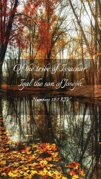 Picture 03 - Numbers 13:7 KJV Mobile Phone Wallpaper - Of the tribe of Issachar, Igal the son of - Mobile Bible Verse Wallpaper