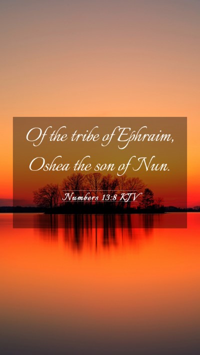 Picture 03 - Numbers 13:8 KJV Mobile Phone Wallpaper - Of the tribe of Ephraim, Oshea the son of - Mobile Bible Verse Wallpaper