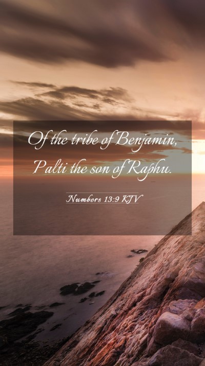 Picture 03 - Numbers 13:9 KJV Mobile Phone Wallpaper - Of the tribe of Benjamin, Palti the son of - Mobile Bible Verse Wallpaper