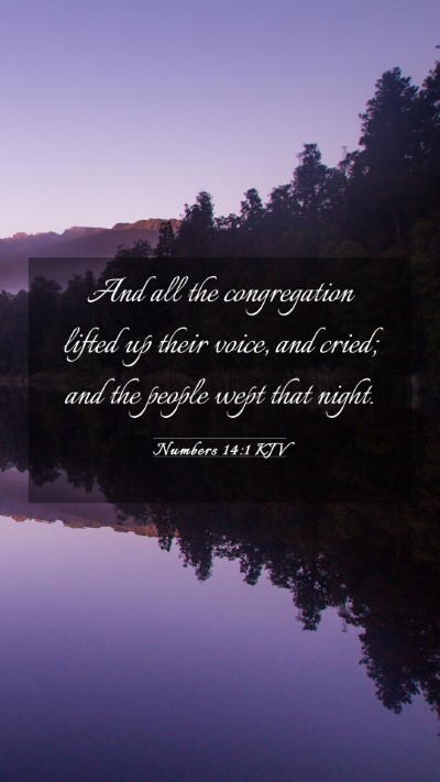 Picture 03 - Numbers 14:1 KJV Mobile Phone Wallpaper - And all the congregation lifted up their voice, - Mobile Bible Verse Wallpaper