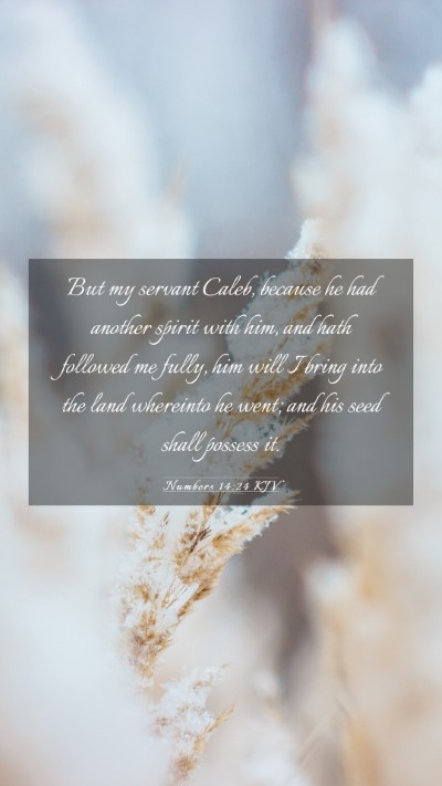 Picture 03 - Numbers 14:24 KJV Mobile Phone Wallpaper - But my servant Caleb, because he had another - Mobile Bible Verse Wallpaper