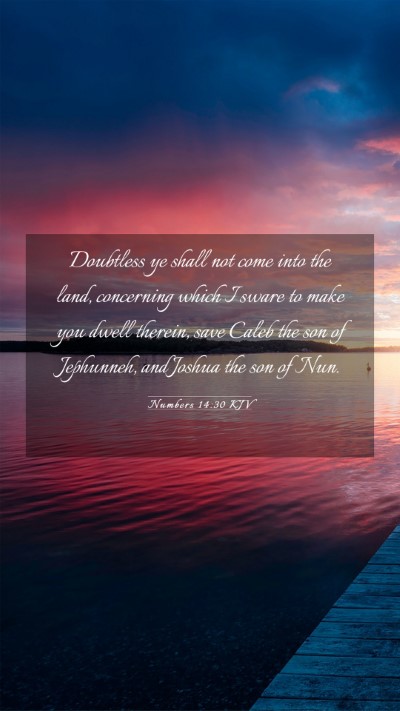 Picture 03 - Numbers 14:30 KJV Mobile Phone Wallpaper - Doubtless ye shall not come into the land, - Mobile Bible Verse Wallpaper