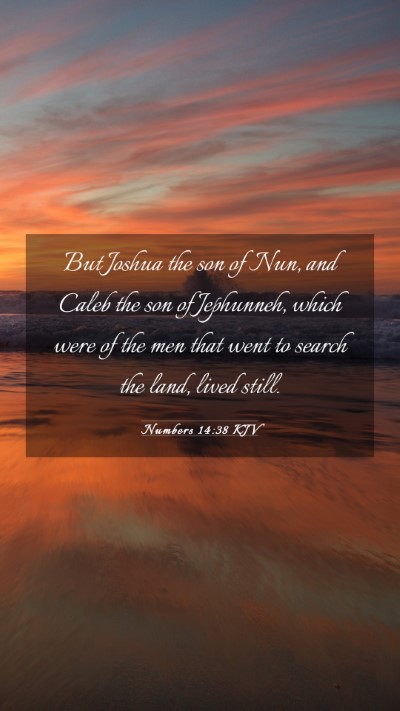 Picture 03 - Numbers 14:38 KJV Mobile Phone Wallpaper - But Joshua the son of Nun, and Caleb the son of - Mobile Bible Verse Wallpaper
