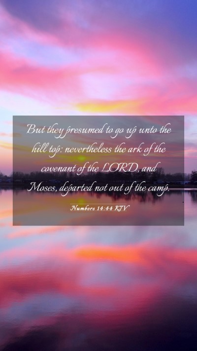 Picture 03 - Numbers 14:44 KJV Mobile Phone Wallpaper - But they presumed to go up unto the hill top: - Mobile Bible Verse Wallpaper