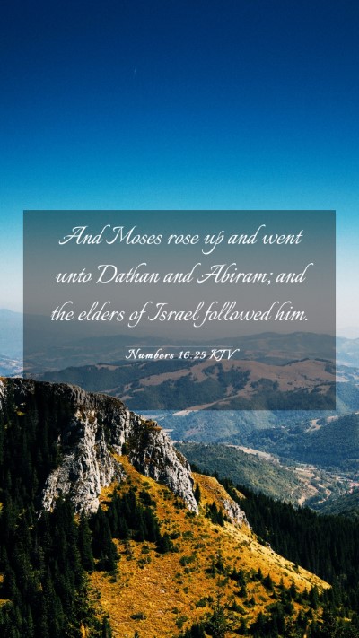 Picture 03 - Numbers 16:25 KJV Mobile Phone Wallpaper - And Moses rose up and went unto Dathan and - Mobile Bible Verse Wallpaper