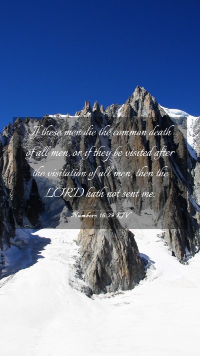 Picture 03 - Numbers 16:29 KJV Mobile Phone Wallpaper - If these men die the common death of all men, or - Mobile Bible Verse Wallpaper