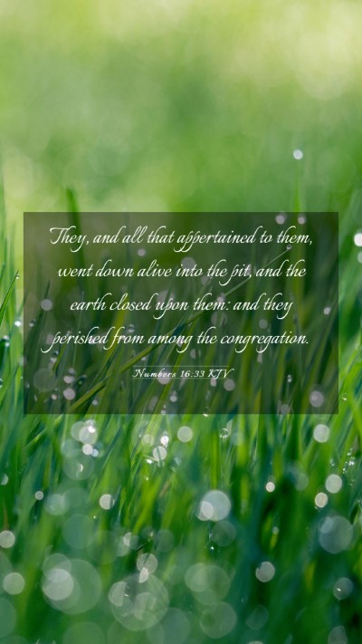Picture 03 - Numbers 16:33 KJV Mobile Phone Wallpaper - They, and all that appertained to them, went down - Mobile Bible Verse Wallpaper