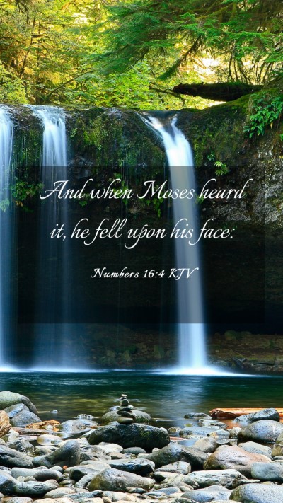 Picture 03 - Numbers 16:4 KJV Mobile Phone Wallpaper - And when Moses heard it, he fell upon his - Mobile Bible Verse Wallpaper