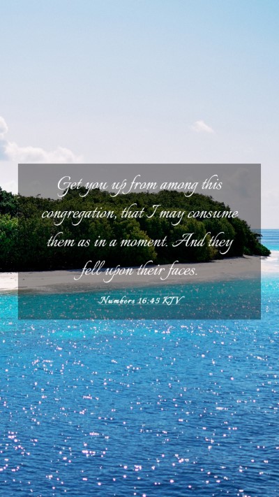 Picture 03 - Numbers 16:45 KJV Mobile Phone Wallpaper - Get you up from among this congregation, that I - Mobile Bible Verse Wallpaper