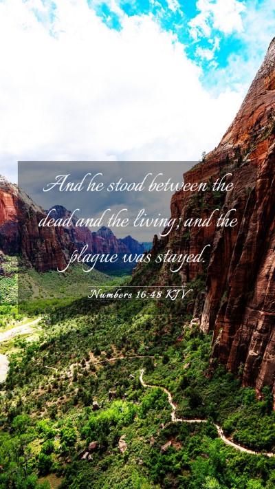 Picture 03 - Numbers 16:48 KJV Mobile Phone Wallpaper - And he stood between the dead and the living; and - Mobile Bible Verse Wallpaper