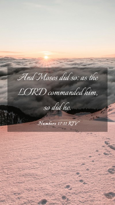 Picture 03 - Numbers 17:11 KJV Mobile Phone Wallpaper - And Moses did so: as the LORD commanded him, so - Mobile Bible Verse Wallpaper