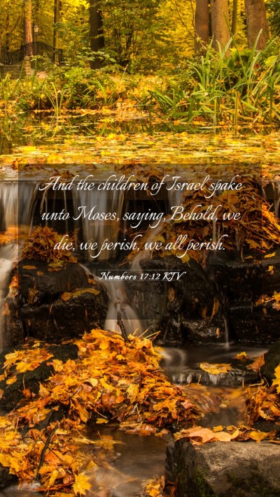 Picture 03 - Numbers 17:12 KJV Mobile Phone Wallpaper - And the children of Israel spake unto Moses, - Mobile Bible Verse Wallpaper