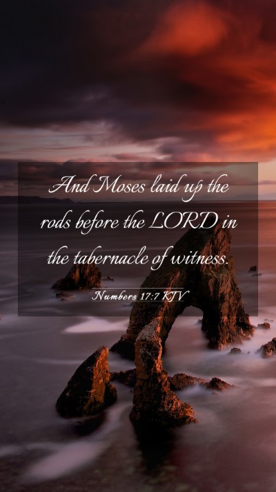 Picture 03 - Numbers 17:7 KJV Mobile Phone Wallpaper - And Moses laid up the rods before the LORD in the - Mobile Bible Verse Wallpaper