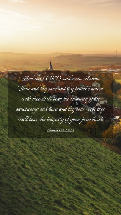Picture 03 - Numbers 18:1 KJV Mobile Phone Wallpaper - And the LORD said unto Aaron, Thou and thy sons - Mobile Bible Verse Wallpaper