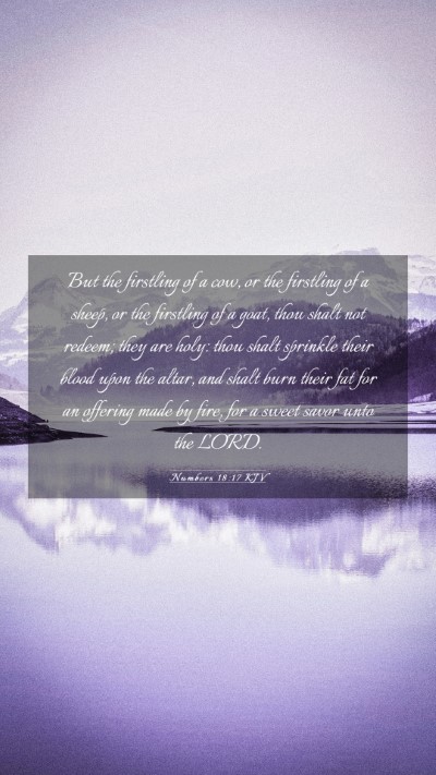 Picture 03 - Numbers 18:17 KJV Mobile Phone Wallpaper - But the firstling of a cow, or the firstling of a - Mobile Bible Verse Wallpaper