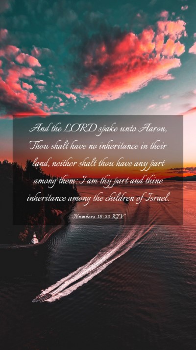 Picture 03 - Numbers 18:20 KJV Mobile Phone Wallpaper - And the LORD spake unto Aaron, Thou shalt have no - Mobile Bible Verse Wallpaper