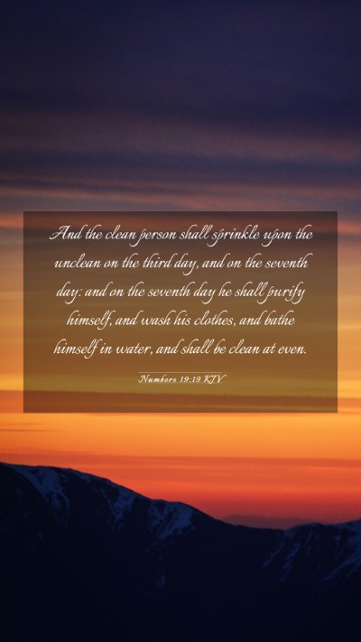 Picture 03 - Numbers 19:19 KJV Mobile Phone Wallpaper - And the clean person shall sprinkle upon the - Mobile Bible Verse Wallpaper