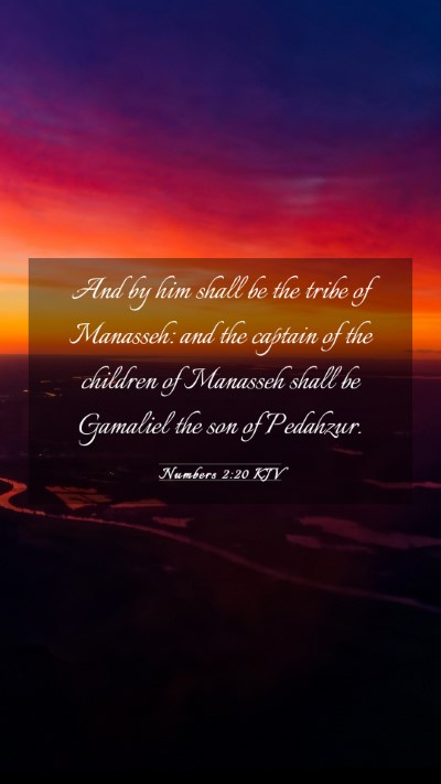 Picture 03 - Numbers 2:20 KJV Mobile Phone Wallpaper - And by him shall be the tribe of Manasseh: and - Mobile Bible Verse Wallpaper