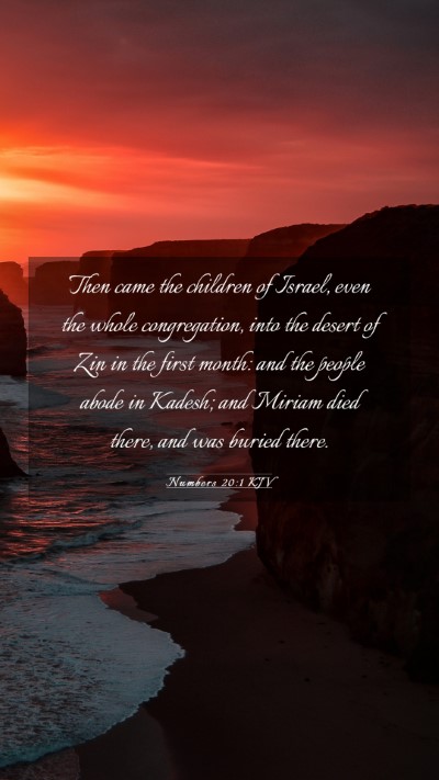 Picture 03 - Numbers 20:1 KJV Mobile Phone Wallpaper - Then came the children of Israel, even the whole - Mobile Bible Verse Wallpaper