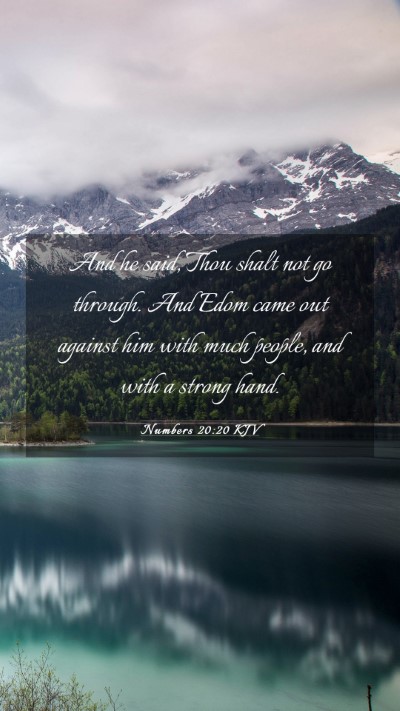 Picture 03 - Numbers 20:20 KJV Mobile Phone Wallpaper - And he said, Thou shalt not go through. And Edom - Mobile Bible Verse Wallpaper