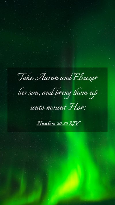 Picture 03 - Numbers 20:25 KJV Mobile Phone Wallpaper - Take Aaron and Eleazar his son, and bring them up - Mobile Bible Verse Wallpaper